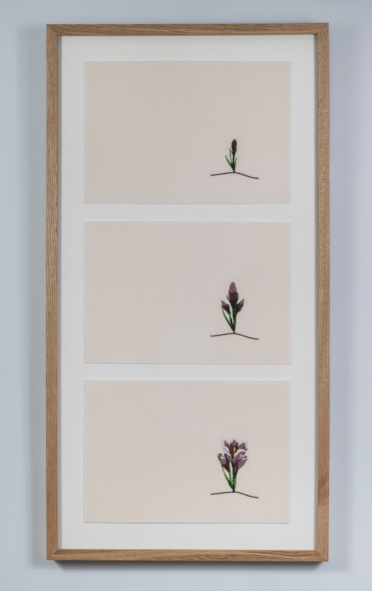a life of a prairie crocus (3 piece)