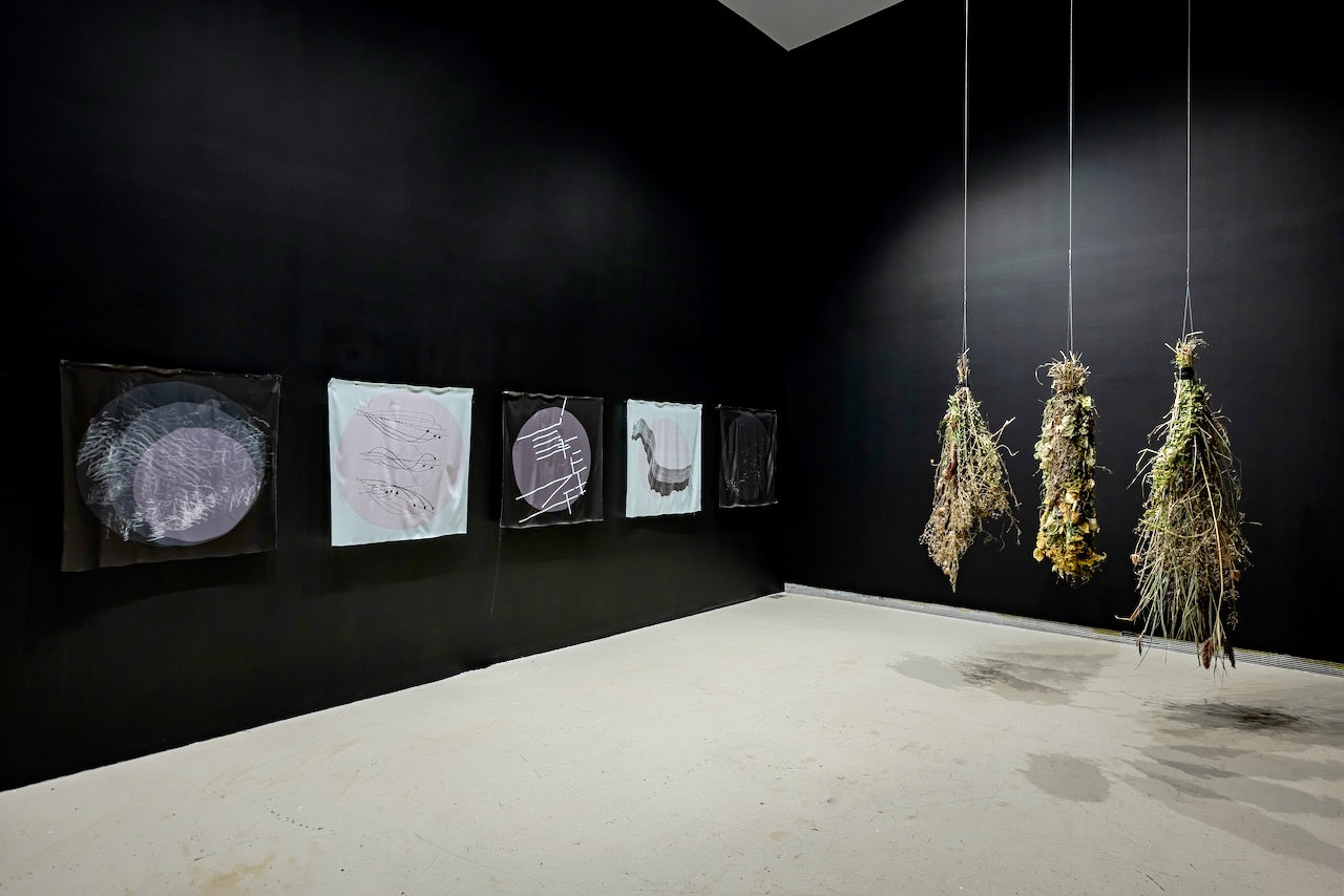 Rights of Passage: Don Valley Right of Way