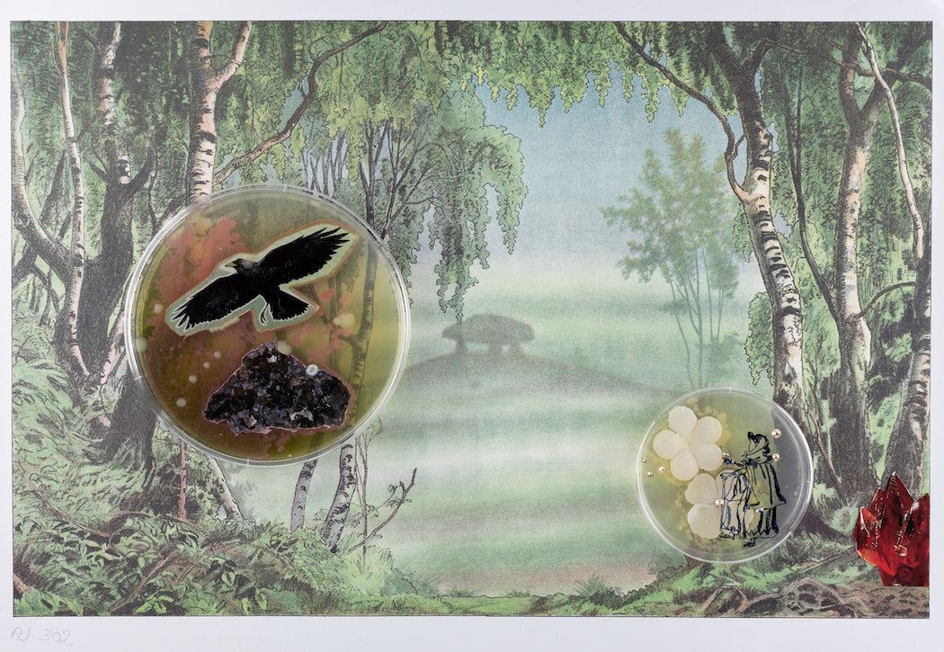 Baroque Biology Paper Theatre (Glycolipid Sighting)