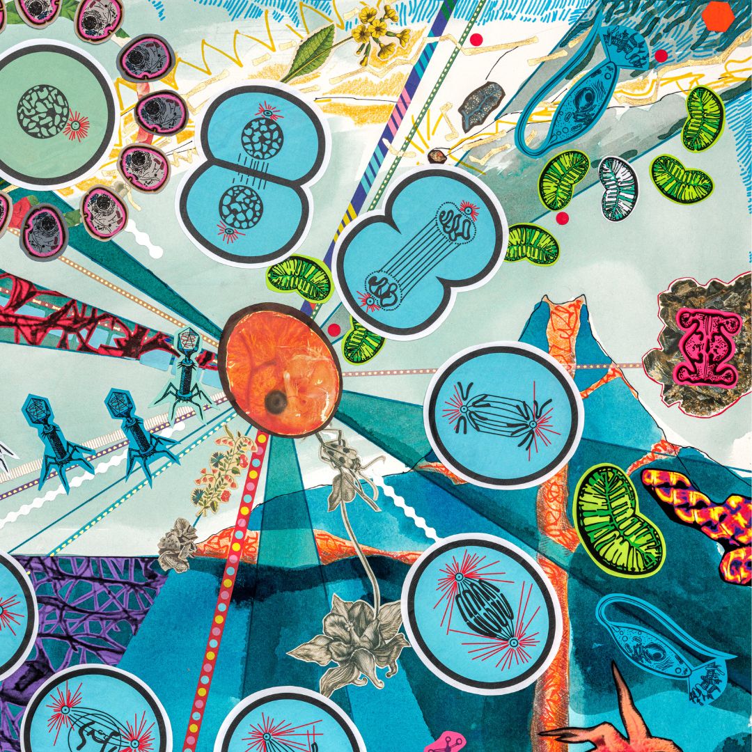 Dreams of Biogenesis