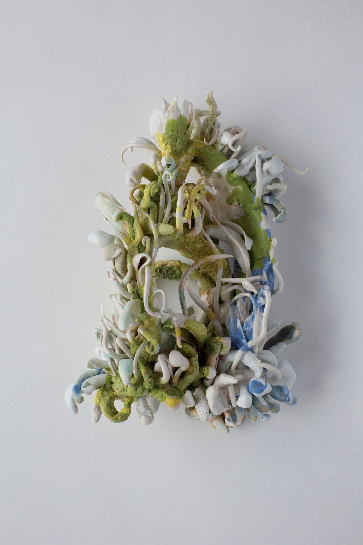 Sporocarp Green and Blue