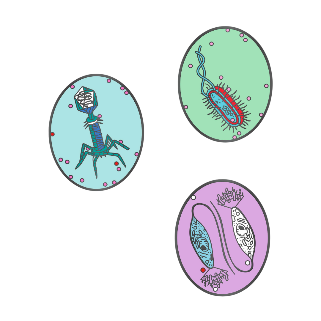 Petri Dish Party Bundle