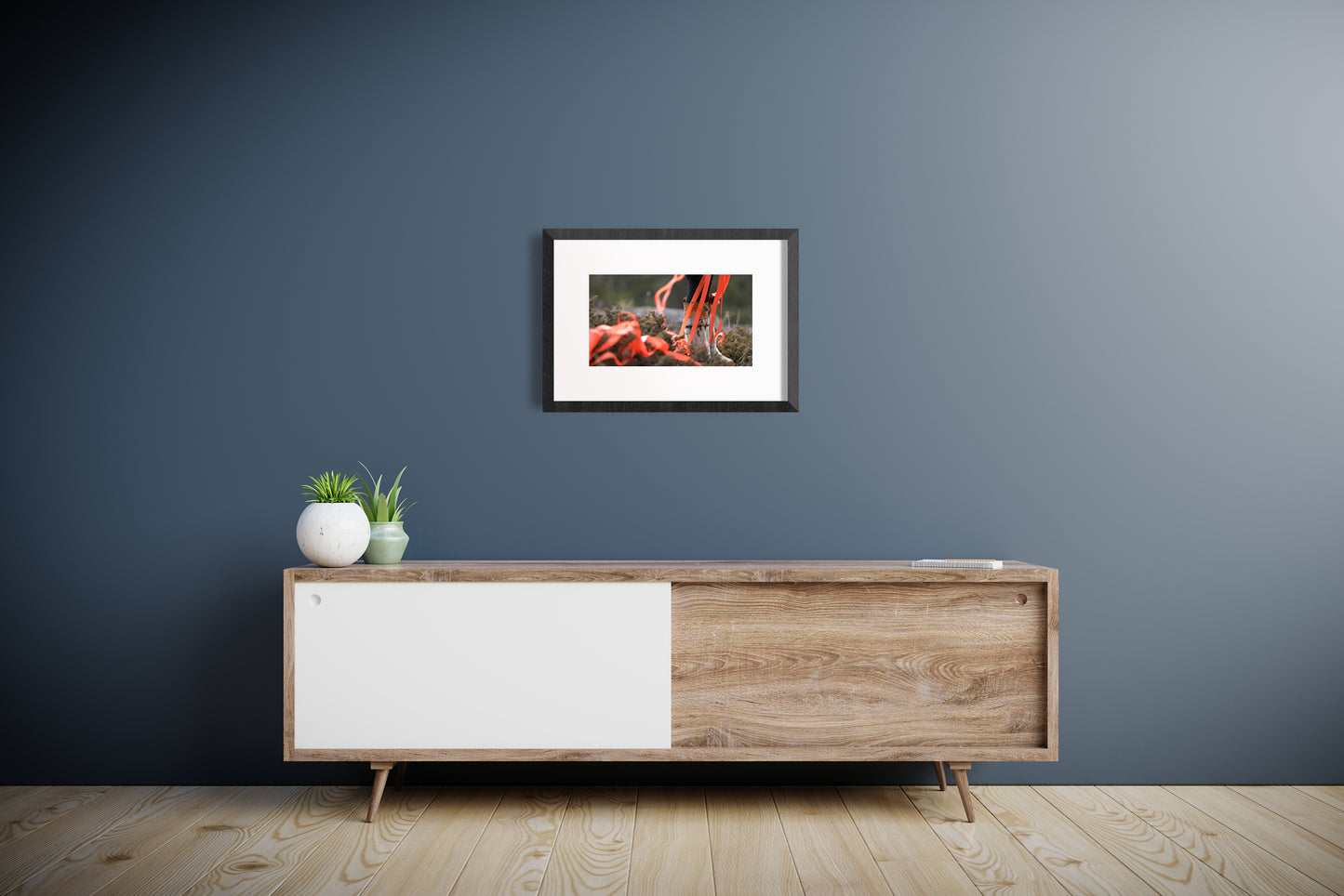 when they poison the bogs we will still braid sweetgrass No. 1