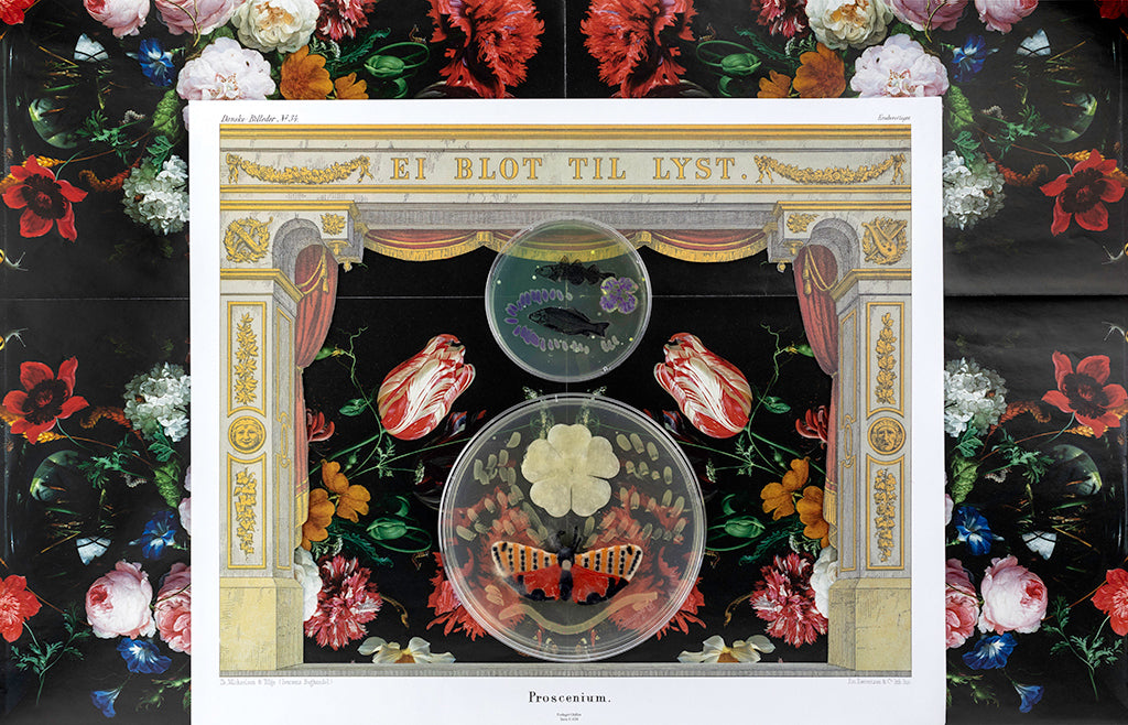 Baroque Biology Paper Theatre (EI BLOT TIL LYST)