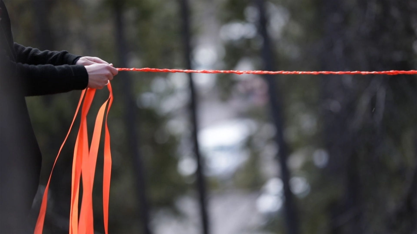 when they poison the bogs we will still braid sweetgrass Triptych Set #3