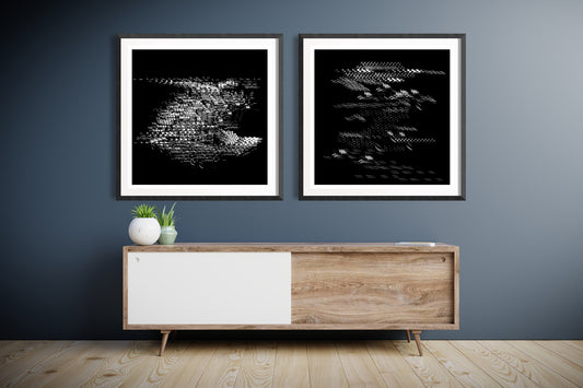 Dawn Chorus / Evensong