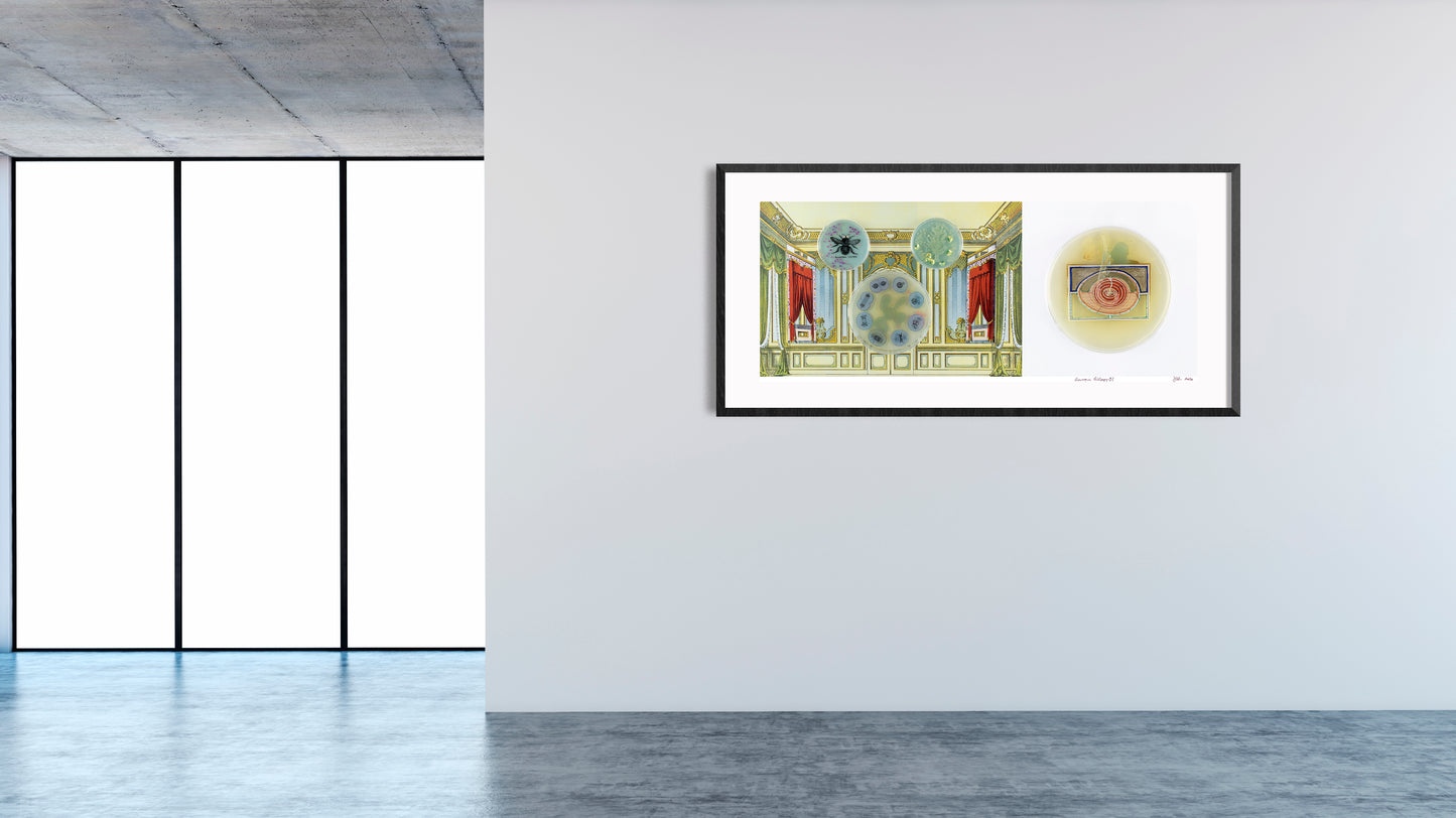 Baroque Biology Paper Theatre Diptych Set 1