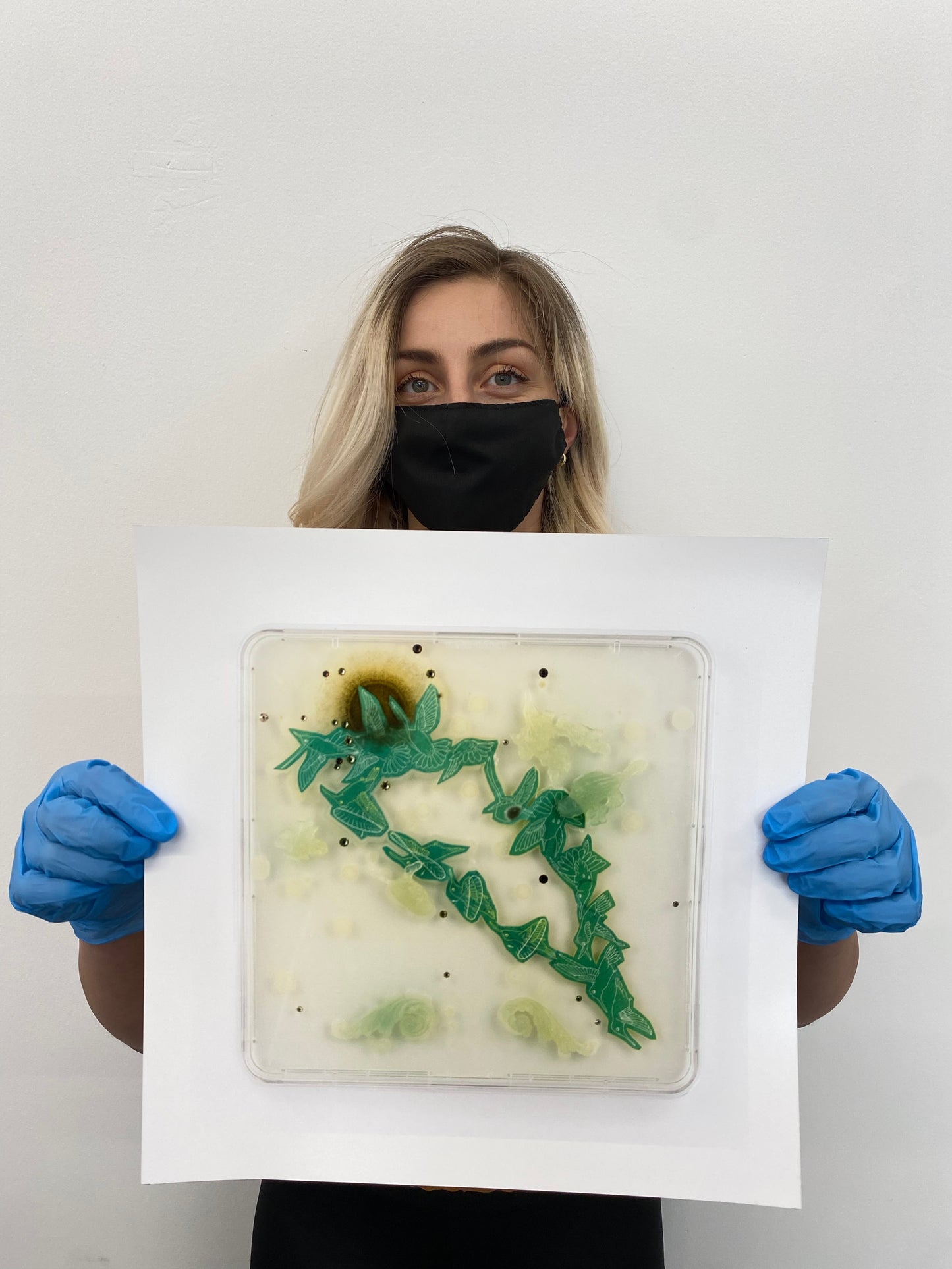 Baroque Biology Petri: Flight Path