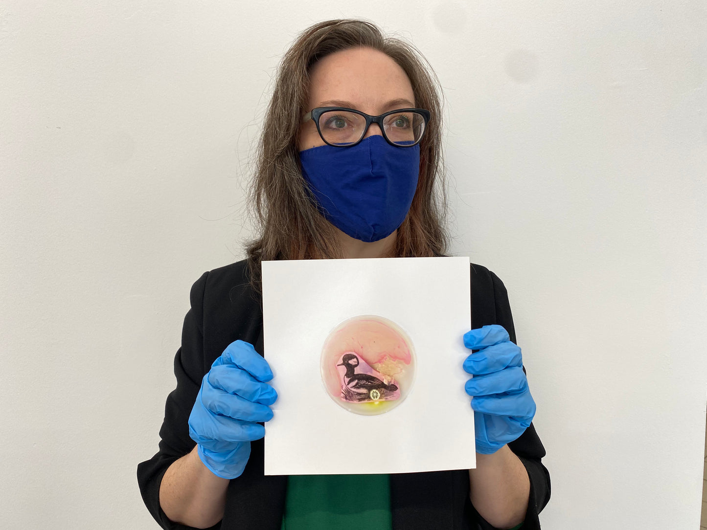 Baroque Biology Petri: Hooded Merganser