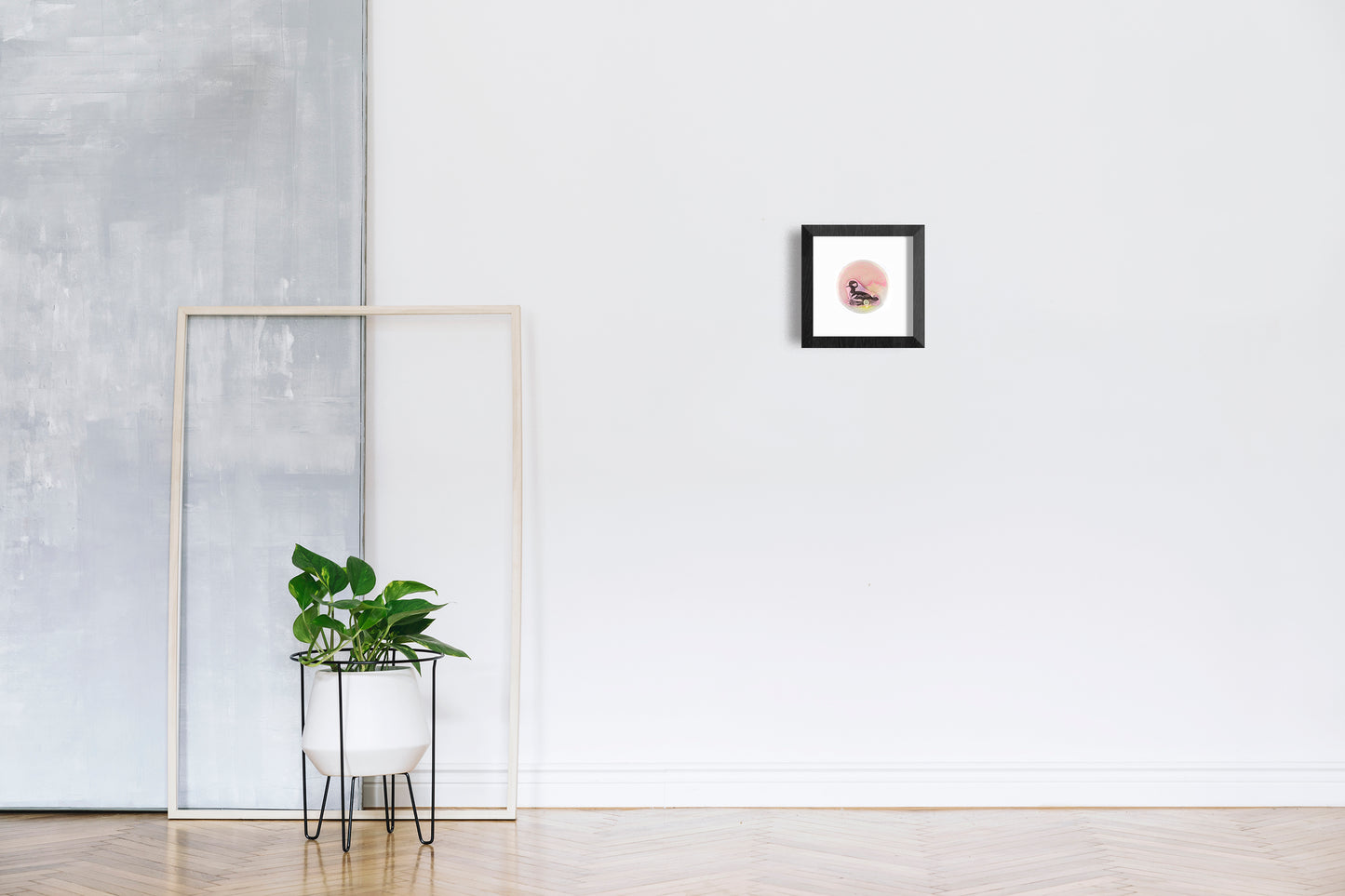 Baroque Biology Petri: Hooded Merganser