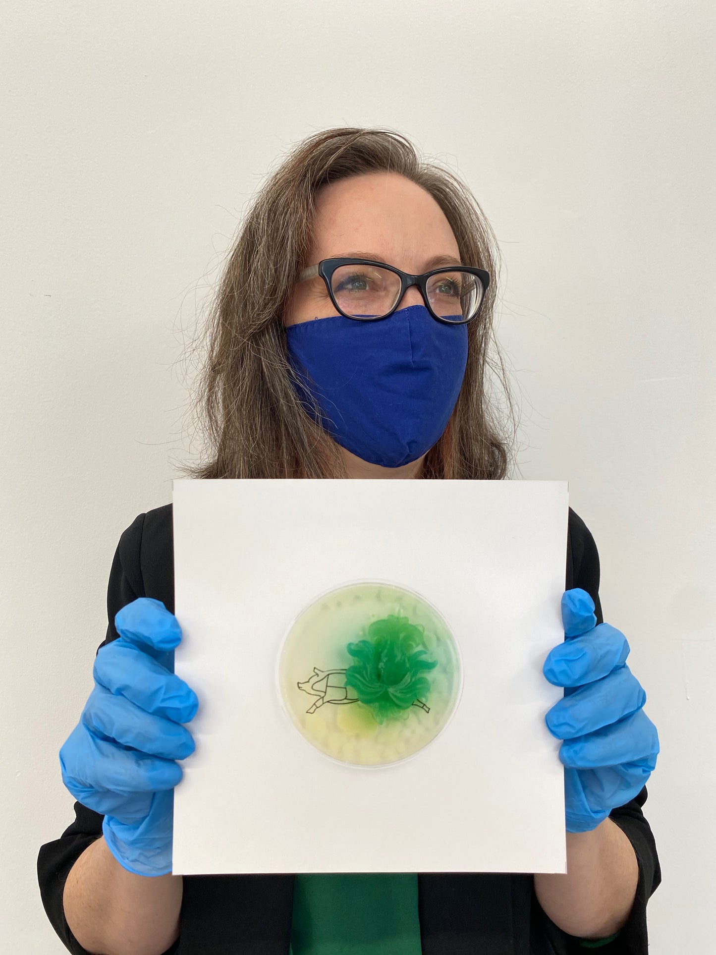 Baroque Biology Petri: Pork Butcher Cuts