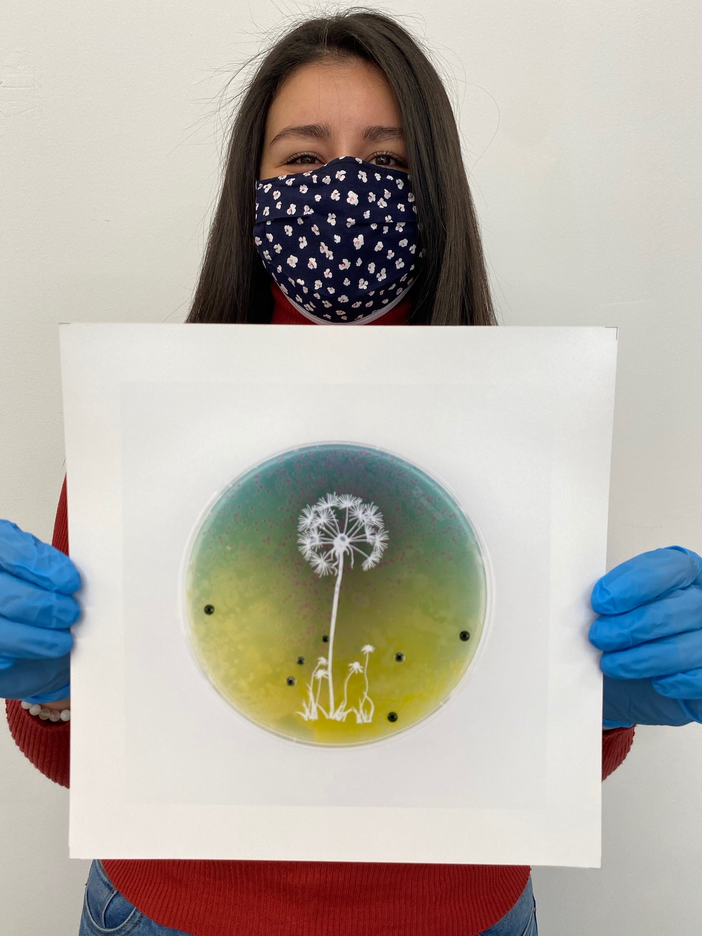 Baroque Biology Petri: Dandelion Pappi
