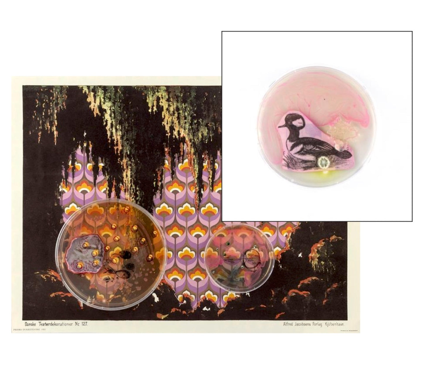 Baroque Biology Paper Theatre Diptych Set 4