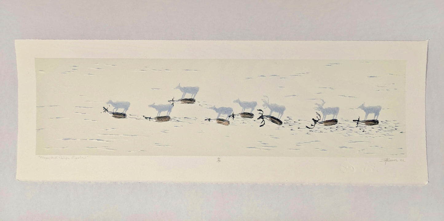 Ktaqamkuk Qalipu Migration
