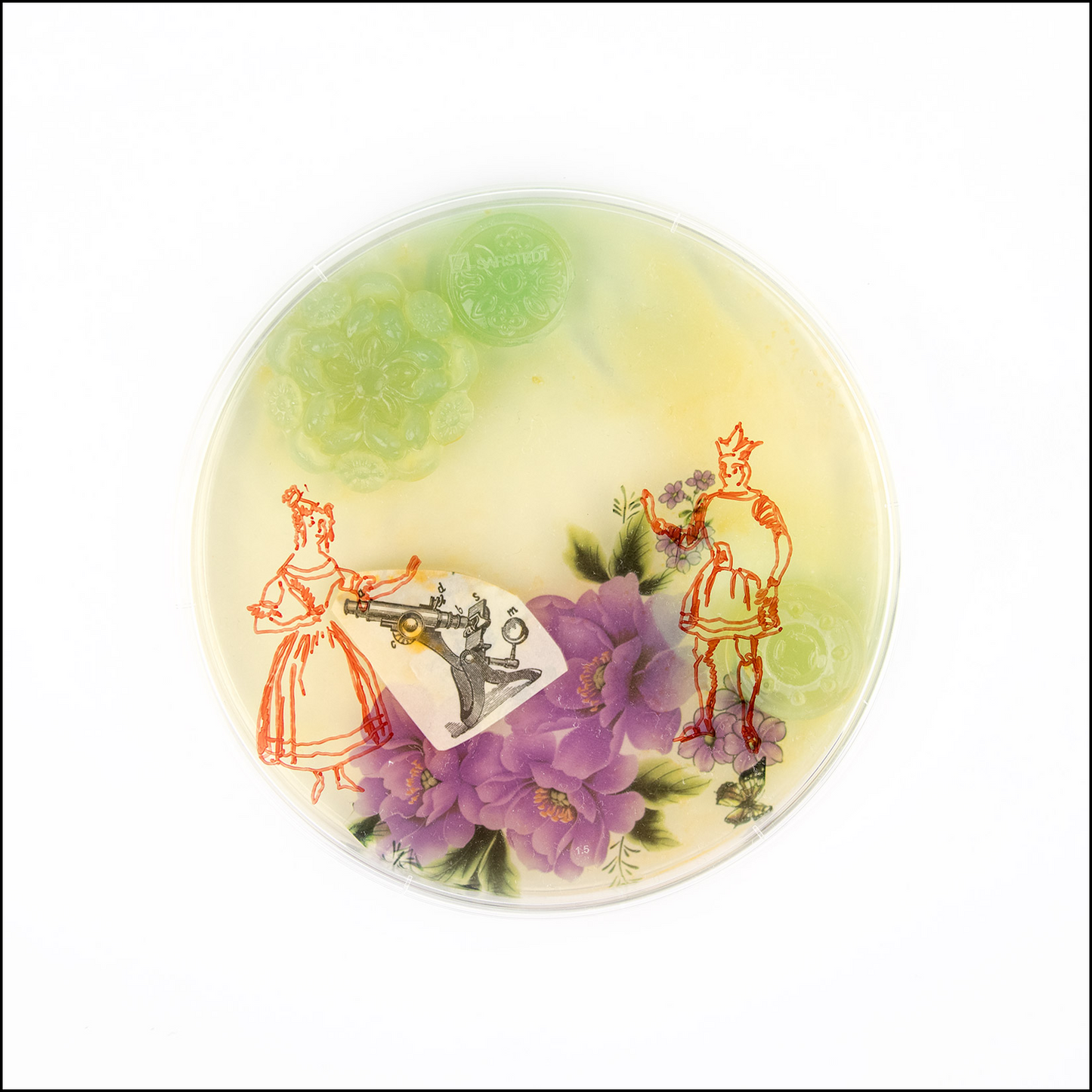 Petri Dish Party Bundle