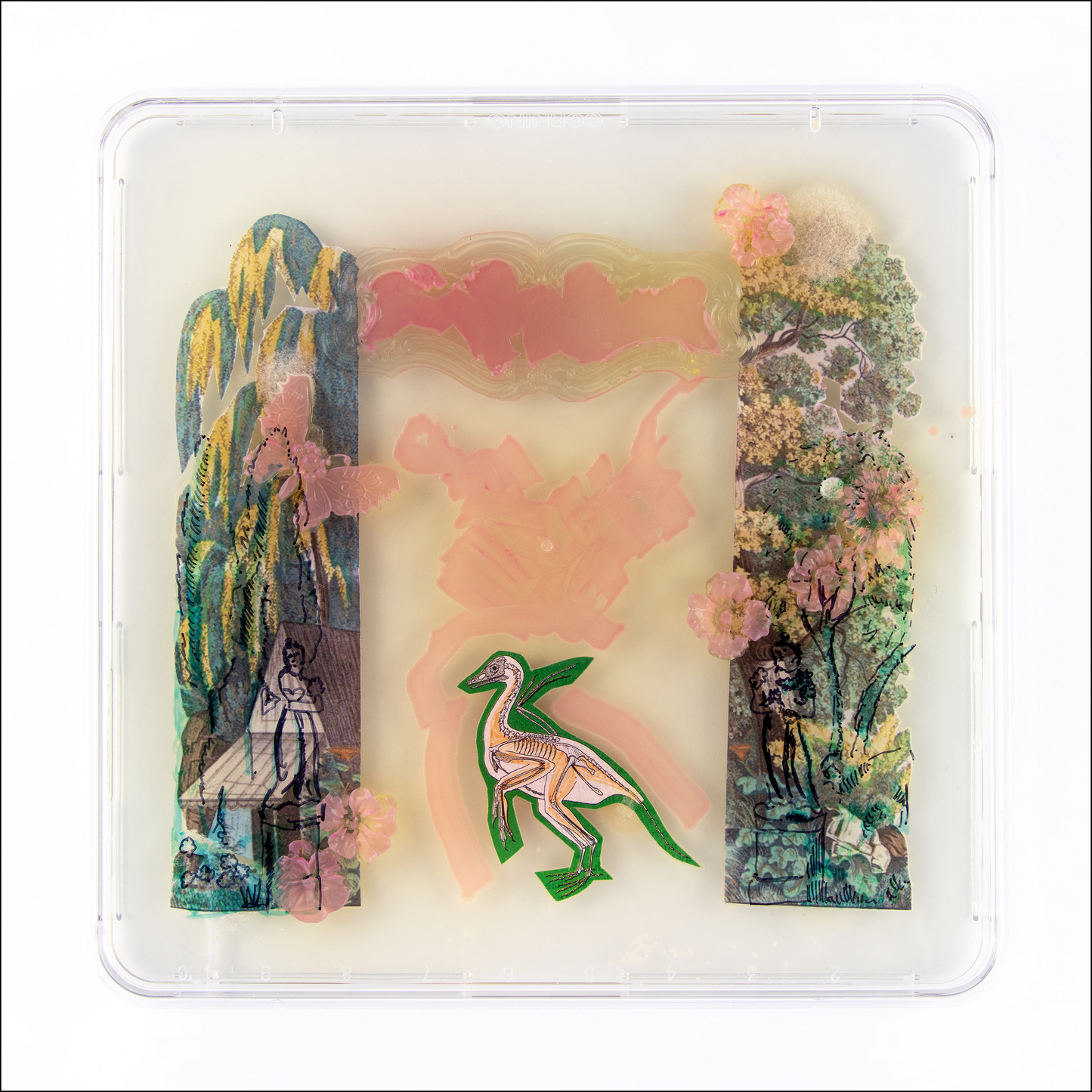 Baroque Biology Petri:  Pink Forrest Fog