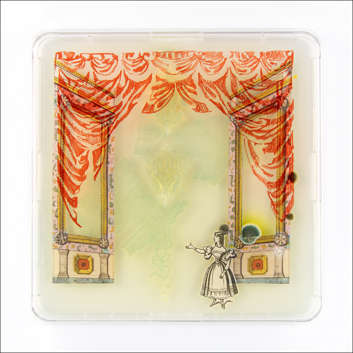 Baroque Biology Petri: Curtain Call