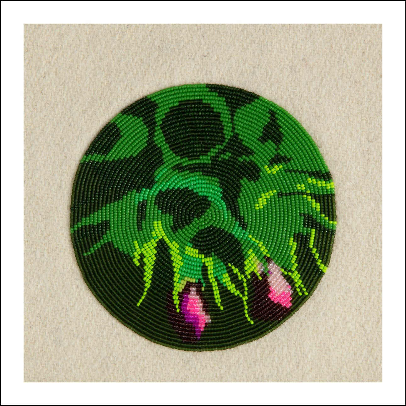 First Family (Mentha Arvensis)