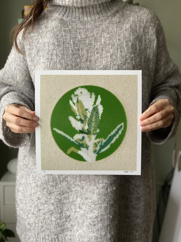 First Family (Artemisia Ludovicina)