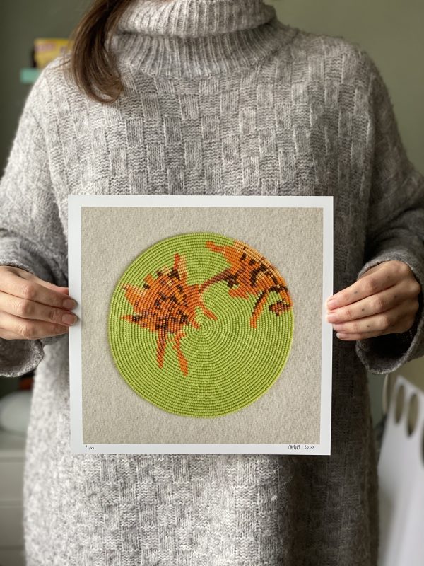 First Family (Solidago Rigida Var Humilis)