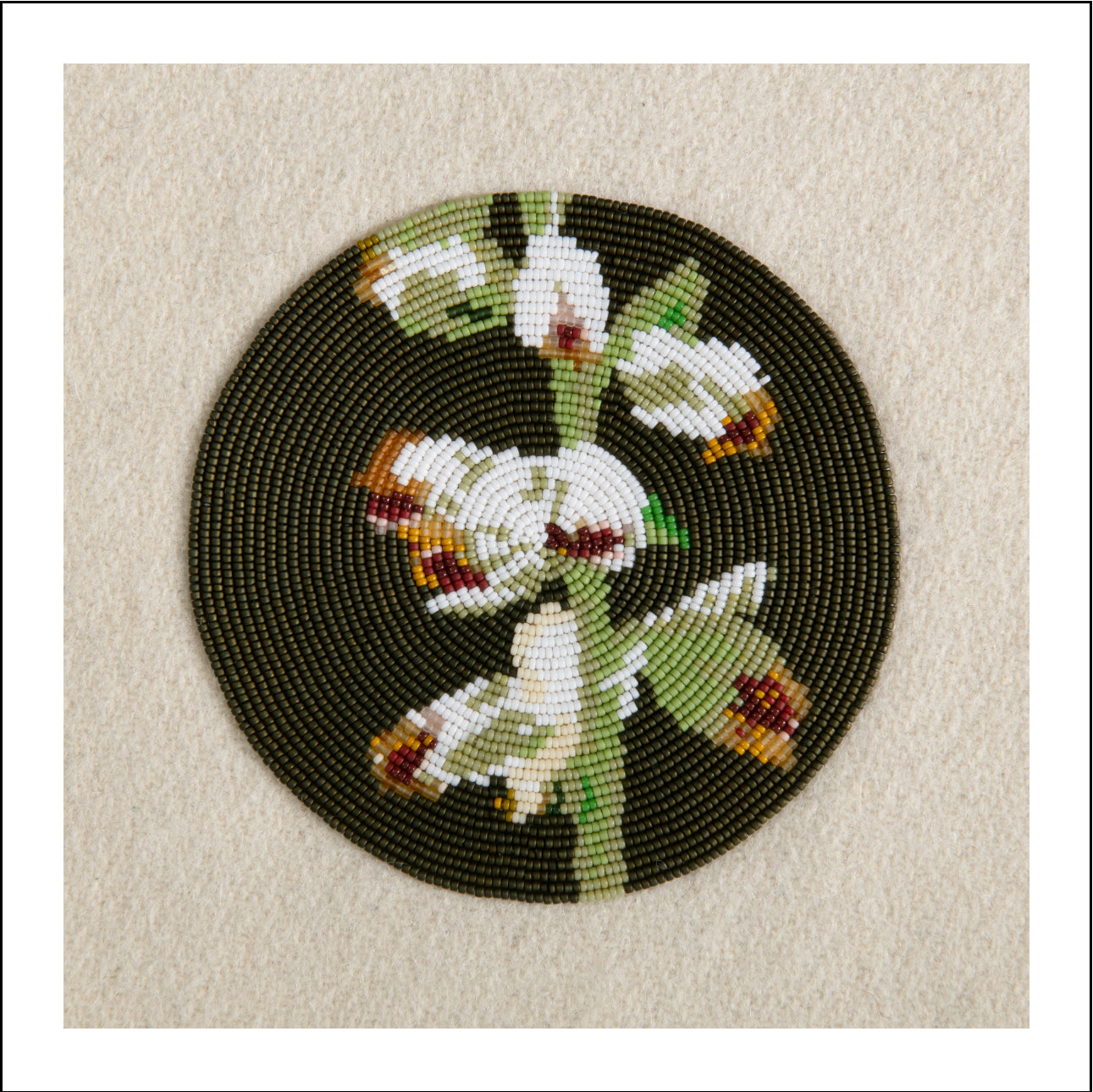 First Family (Artemesia Cana)