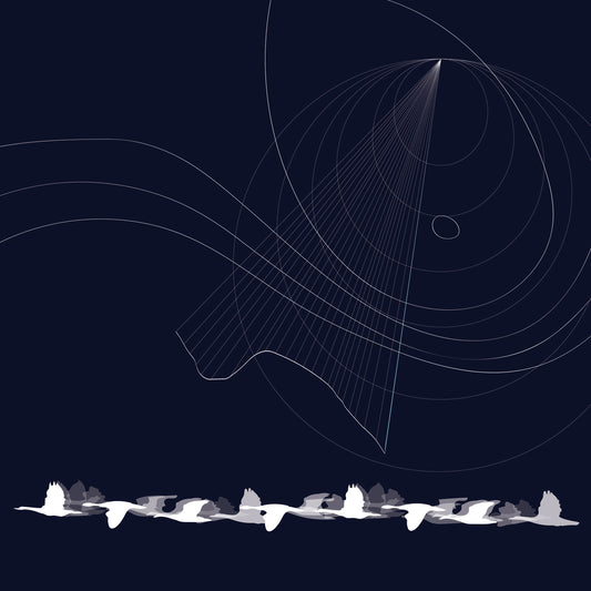 Magnetic Orientation