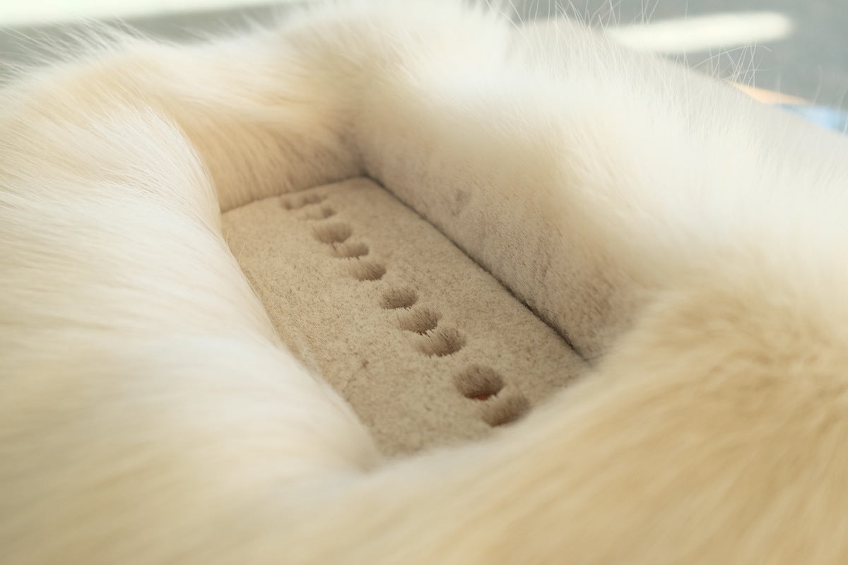 Billion Dollar Caribou