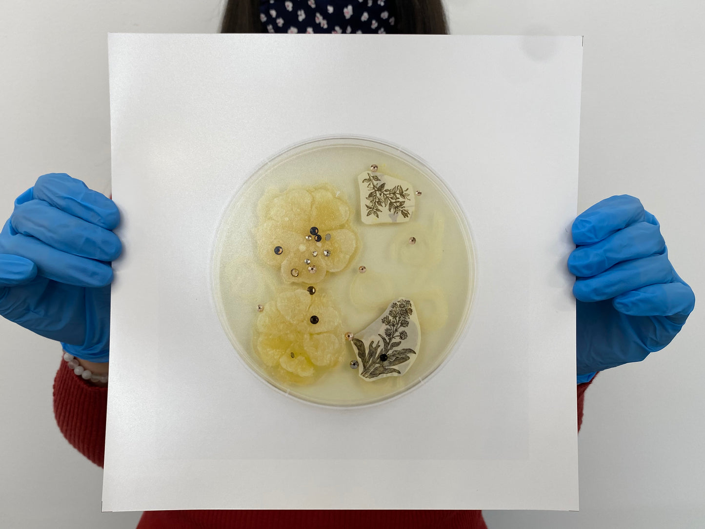 Baroque Biology Petri: Flora Flora