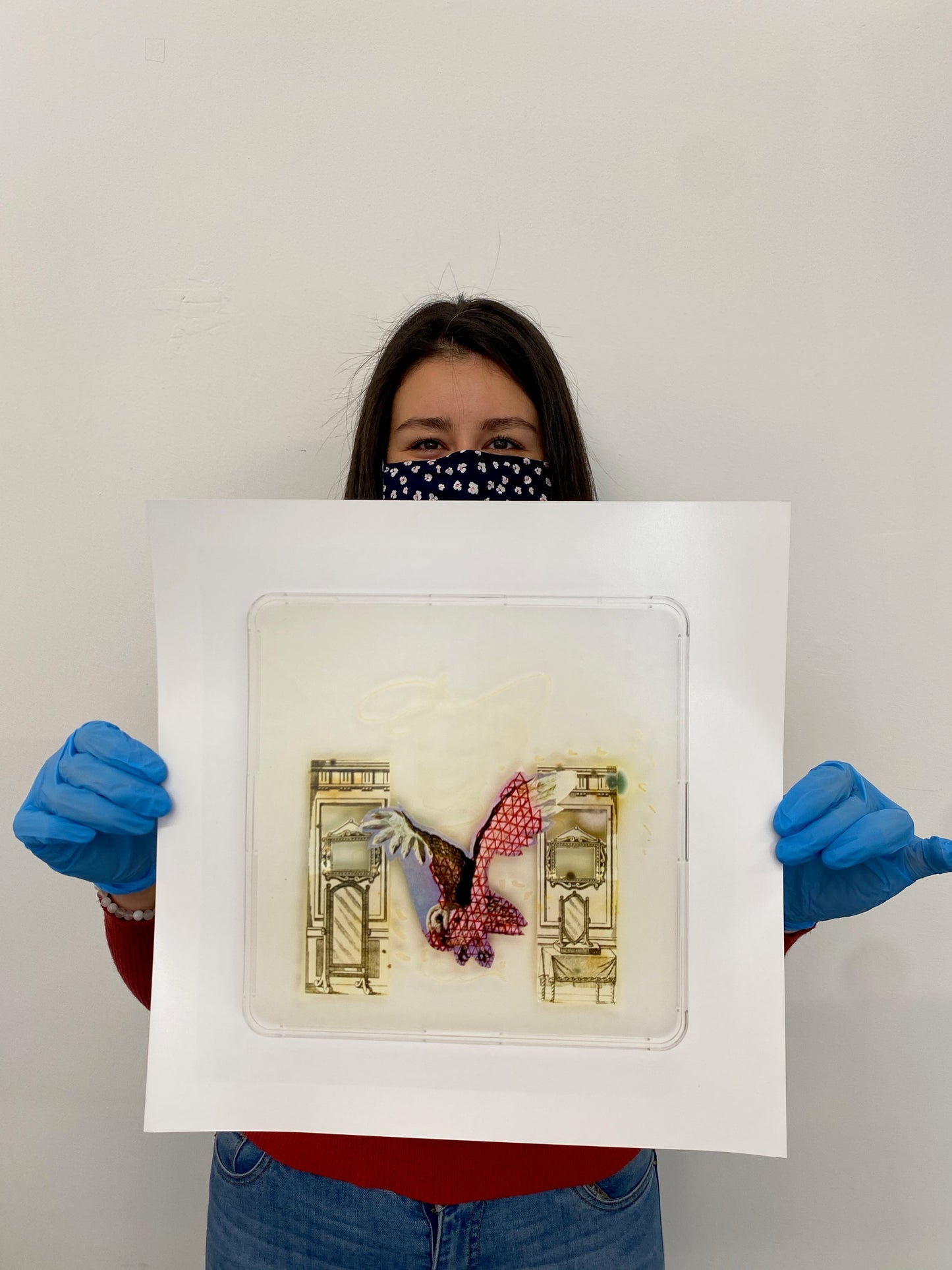 Baroque Biology Petri: Geometric Barn Owl