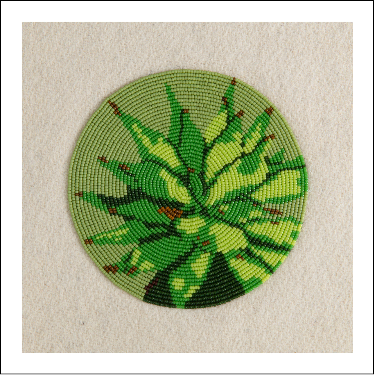 First Family (Anemone Canadensis)