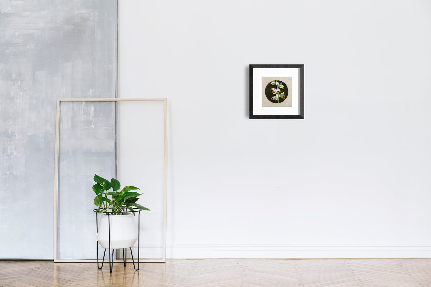 First Family (Artemesia Cana)