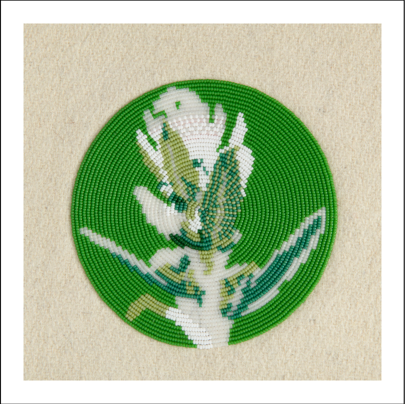 First Family (Artemisia Ludovicina)