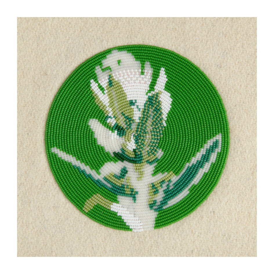 First Family (full suite)