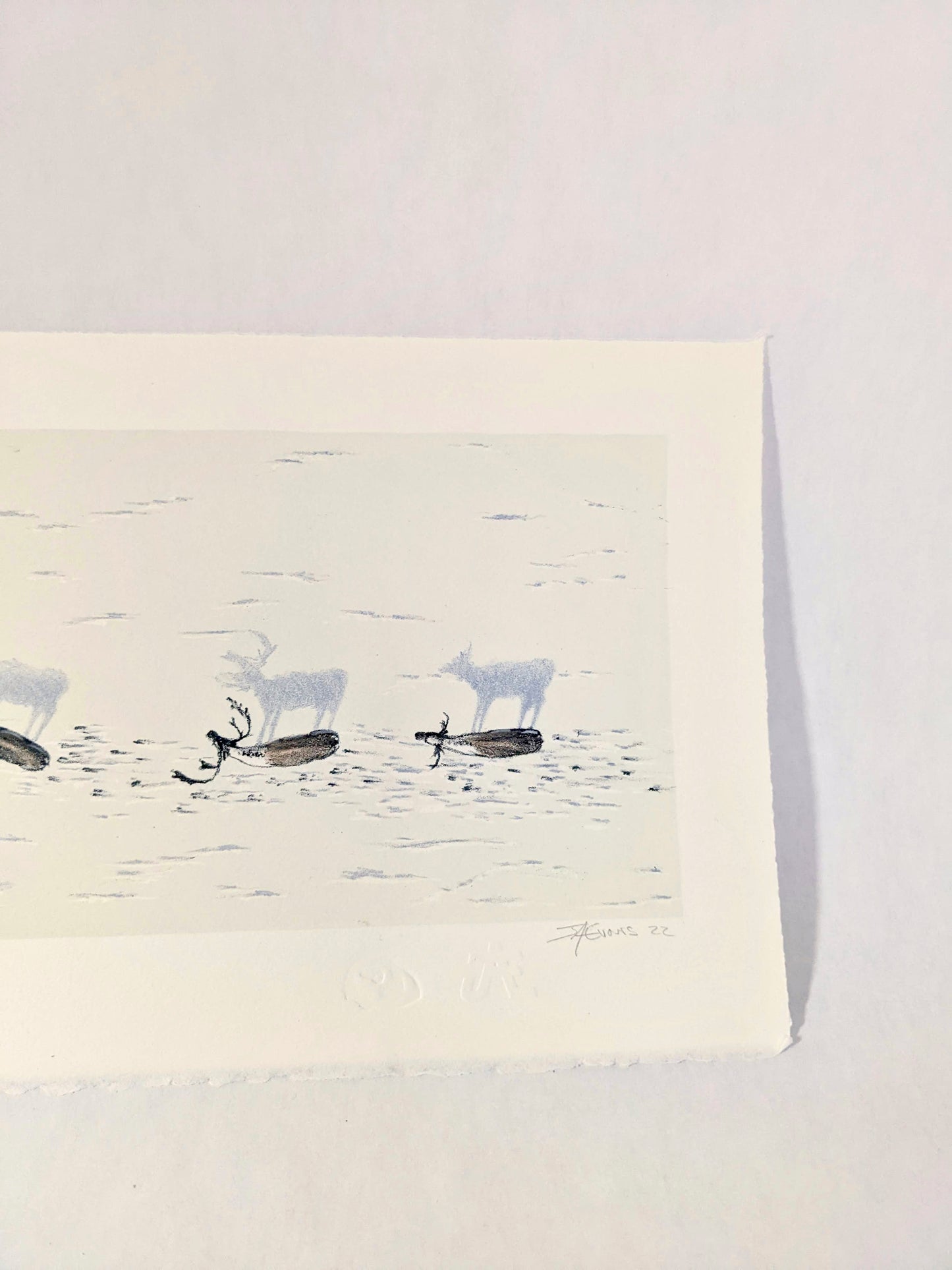 Ktaqamkuk Qalipu Migration