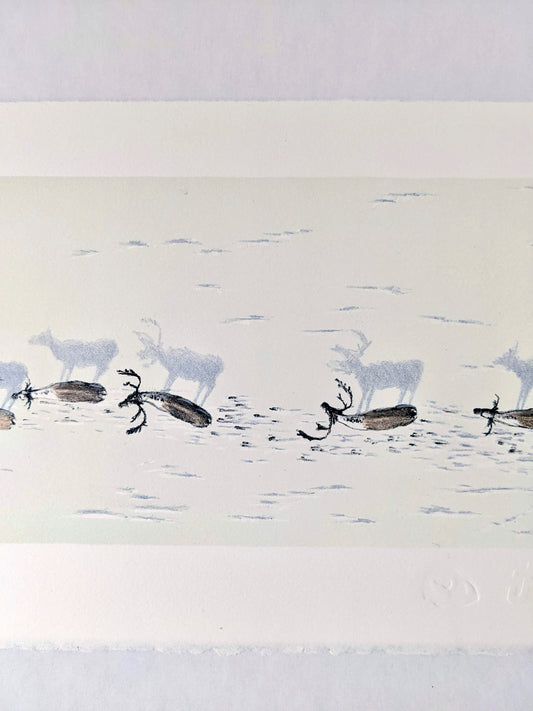 Ktaqamkuk Qalipu Migration