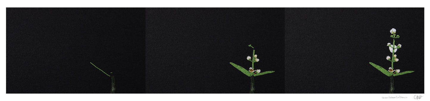 slow gestures (in)stills (3 grid)