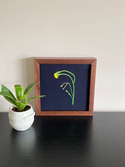 That which grows wild and profusely - Dandelion I