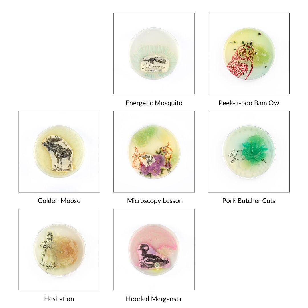 Petri Dish Party Bundle