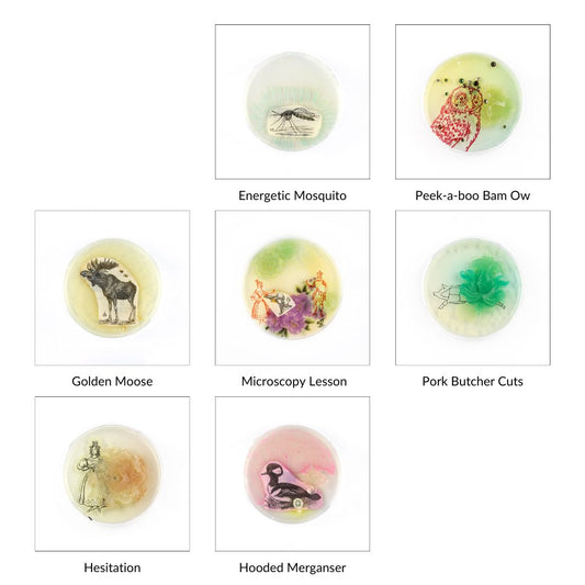 Petri Dish Party Bundle