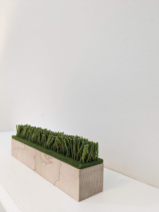 they built fields of grass on sawdust (maple)