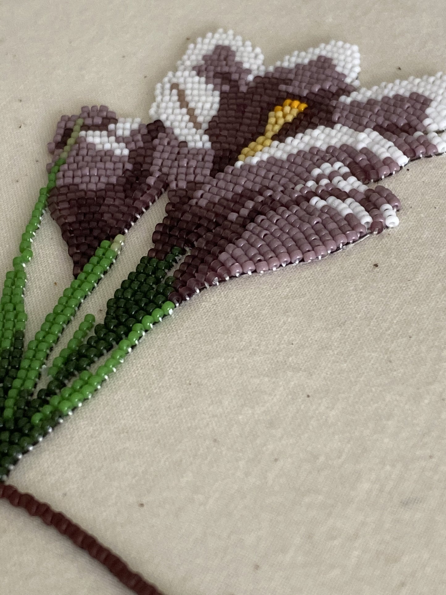 a life of a prairie crocus (3 piece)