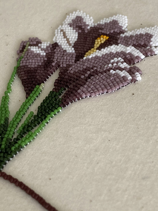 a life of a prairie crocus (3 piece)