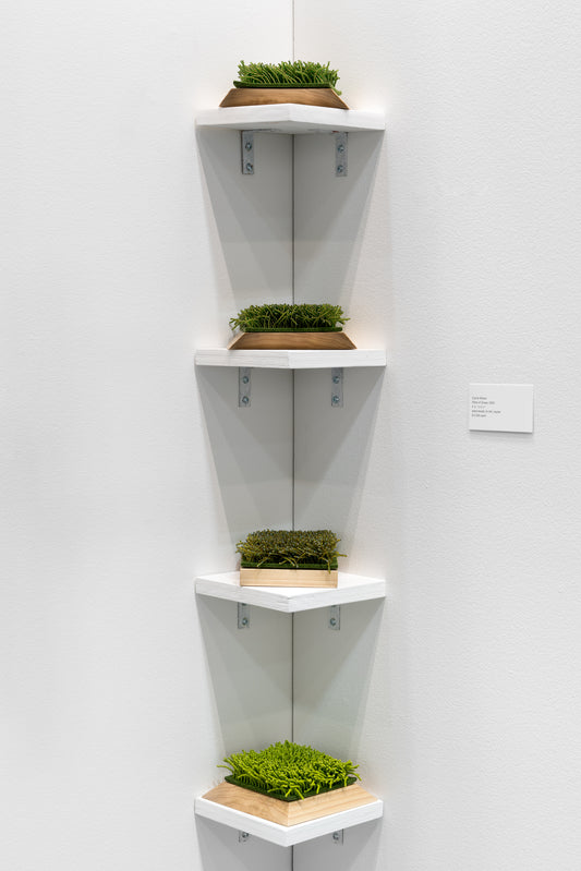 Plots of Grass