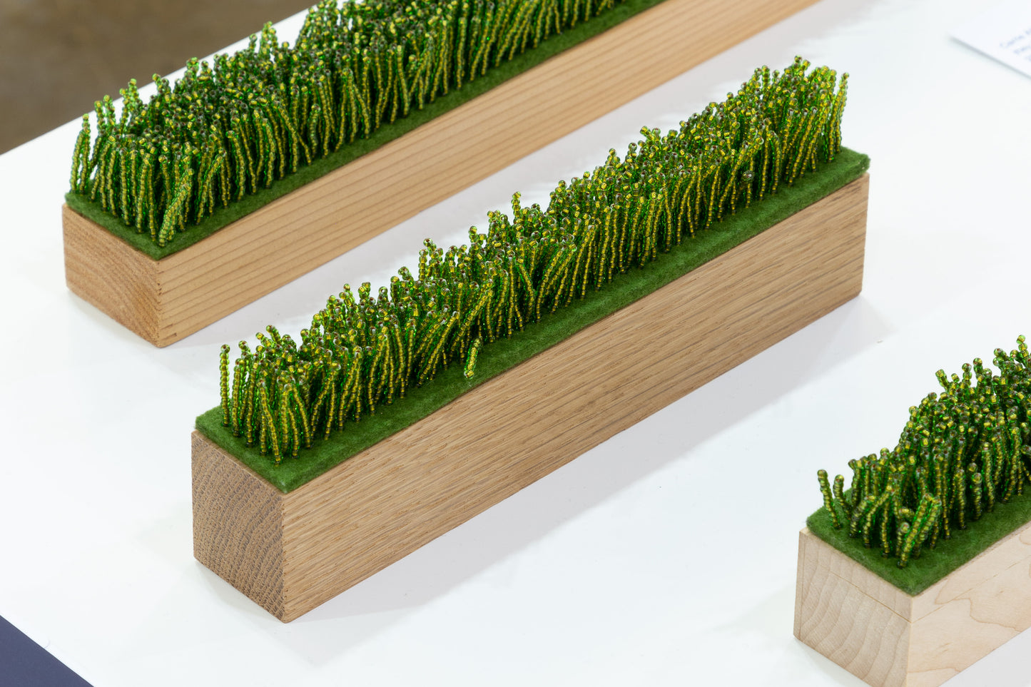 they built fields of grass on sawdust (oak)