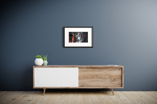 when they poison the bogs we will still braid sweetgrass No. 3