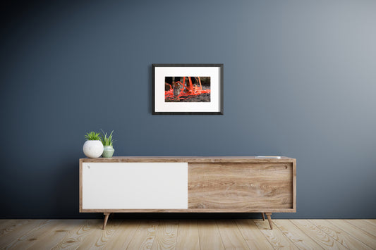 when they poison the bogs we will still braid sweetgrass No. 4