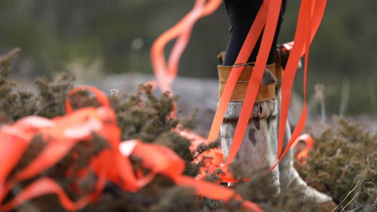 when they poison the bogs we will still braid sweetgrass No. 1