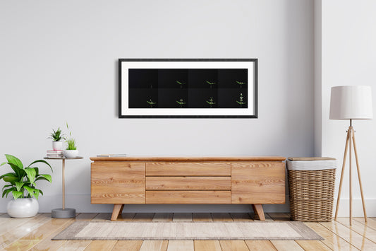 slow gestures (in)stills (8 grid)