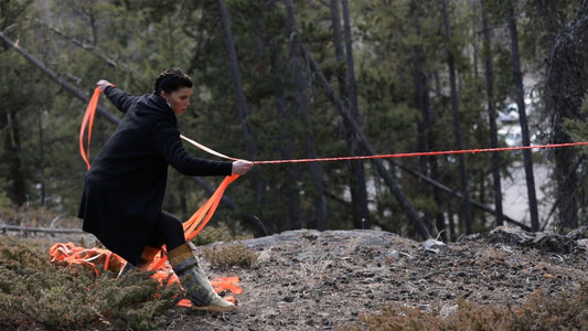 when they poison the bogs we will still braid sweetgrass No. 5