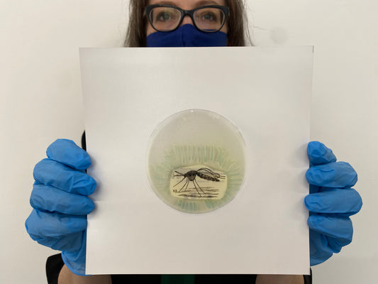 Baroque Biology Petri: Energetic Mosquito